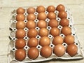 Paper tray with holes for putting eggs