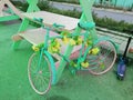 Picture of a pastel candy-colored bicycle in the park