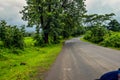 Picture of a path taking to the dense forest in monsoon in India Royalty Free Stock Photo