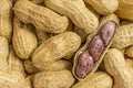 Picture of peanuts pile top view Royalty Free Stock Photo