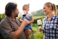 Picture of people tasting red wine in vineyard Royalty Free Stock Photo
