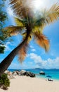 Picture perfect beach at Caribbean Royalty Free Stock Photo