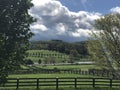 Picture perfect horse farm