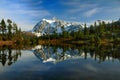 Picture Perfect Mt Shuksan Royalty Free Stock Photo