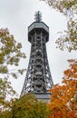 Petrin Tower Autumn Leaves