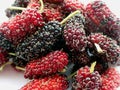 Fresh and healthy mulberry fruit Royalty Free Stock Photo