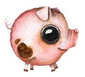 ÃÂ¡artoon round baby pig