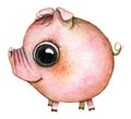 ÃÂ¡artoon round baby pig