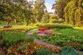 A picture of a pleasant stay in the city garden on a sunny day among bright flowers and green spaces. Beautiful summer landscape