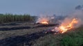 A picture of pollution spreading from the burned remains in the fields