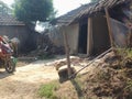 It is a picture of poor person house in villages