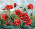 Picture - `Poppies`. Painting - oil, canvas.