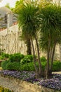 Picture postcard with terrace with flowers in the garden Villas Rufolo in Ravello. Amalfi Coast, Campania, Italy Royalty Free Stock Photo