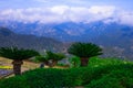 Picture postcard with terrace with flowers in the garden Villas Rufolo in Ravello. Amalfi Coast, Campania, Italy