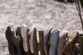 Picture of poverty in old worn house slippers on wooden fence