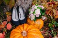 A picture of pumpkins and wedding bouquet lying near bridal shoes. Wedding decoration Royalty Free Stock Photo