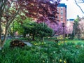 Quite Queens Community Garden, New York City Royalty Free Stock Photo