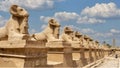 Avenue of the Sphinxes and Sety II Obelisk from the first pylon of the Karnak Temple in Luxor, Egypt. Royalty Free Stock Photo