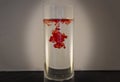 Red food coloring in water in a vase Royalty Free Stock Photo