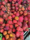 picture of red rambutan fruit Royalty Free Stock Photo