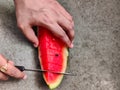 Picture of red slices of watermelon fruit