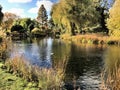 A picture of Regents Park Royalty Free Stock Photo