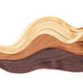 Picture of remy woman`s hair extensions in different colors isol