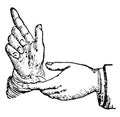 This picture represents the hands position in argumentation vintage engraving Royalty Free Stock Photo