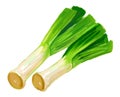 Picture of ripe leek