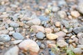 In the picture, river stones on the Bank Royalty Free Stock Photo