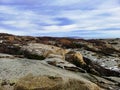 Picture of rocks covered in branches and snow under a cloudy sky during the evening in Norway Royalty Free Stock Photo