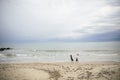 Picture of romantic young couple on the sea shore Royalty Free Stock Photo