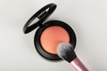 Blush and makeup brush