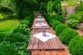 Row of decorated tables on a gardenpath