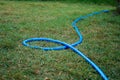 Picture of rubber hose for tree sprinkling