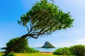 View at Kualoa Regional Park in Oahu, Hawaii Royalty Free Stock Photo