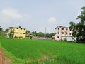 Picture of a school in the village