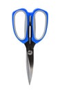 Picture of scissors Royalty Free Stock Photo