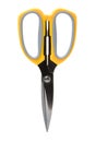 Picture of scissors Royalty Free Stock Photo