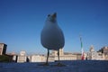 Seagull in Rome city
