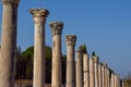 Greek chorinthian columns in a row