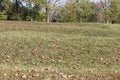 Serpent Mound Ohio Royalty Free Stock Photo