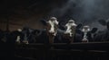 Picture of several cows in a stall on a dairy farm.