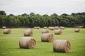 Picture of sheaves of hay in Ireland.