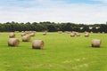 Picture of sheaves of hay in Ireland. Royalty Free Stock Photo