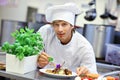 Busy chef at work in the restaurant kitchen Royalty Free Stock Photo