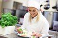 Busy chef at work in the restaurant kitchen Royalty Free Stock Photo