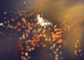 Picture showing group of hand having fun with sparklers.