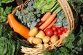 A basket with different kinds of vegetable Royalty Free Stock Photo