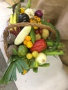 Basket with fresh vegetables Royalty Free Stock Photo